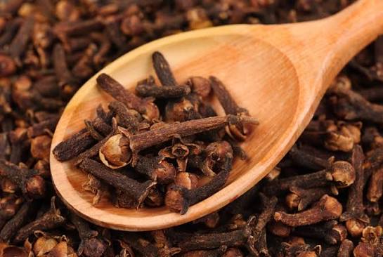 Sri Lankan spice garden where cloves are grown